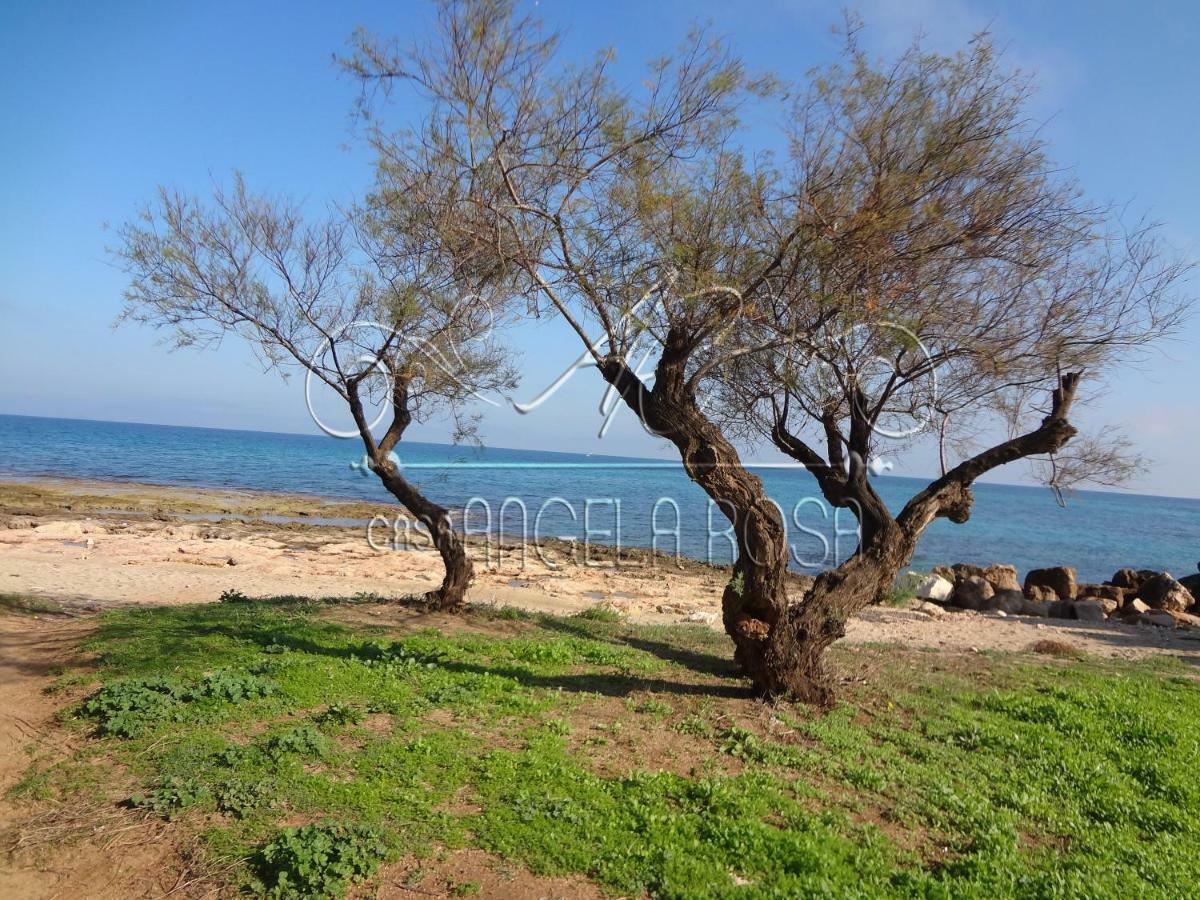 הוילה קרוביניו Casa Angela Rosa מראה חיצוני תמונה